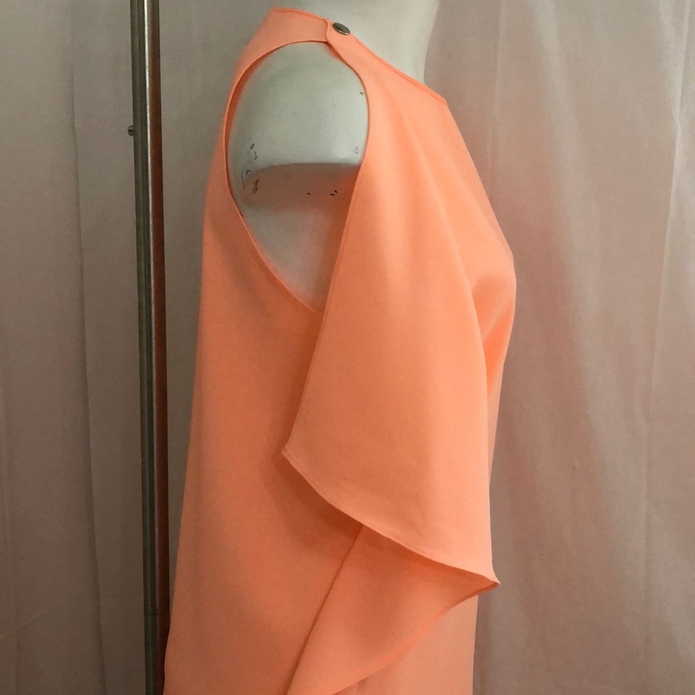 Blaque Label Sheer Ruffle Dress - Picture 3 of 8